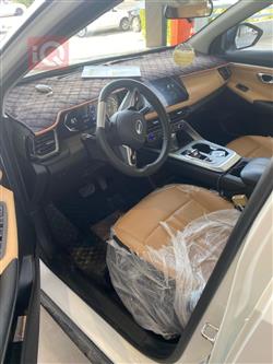 جي أي سي GS3 إمزوم